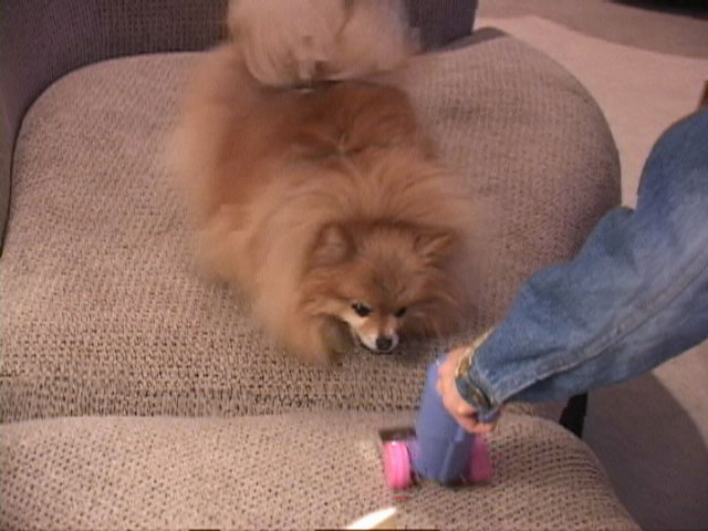 Evan bday 10 (8).JPG